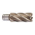 HHS annular cutters 50mm4932343301--Hero_1_HiRes.jpg HHS annular cutters 50mm4932343301--Hero_1_HiRes.jpg